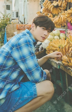 2022 OFFICIAL PHOTO BOOK [MAGAZINE] TRADING CARD