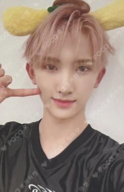 HOUSE OF TRICKY : HOW TO PLAY SHOWCASE