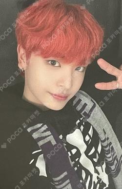 HOUSE OF TRICKY : Doorbell Ringing SHOWCASE