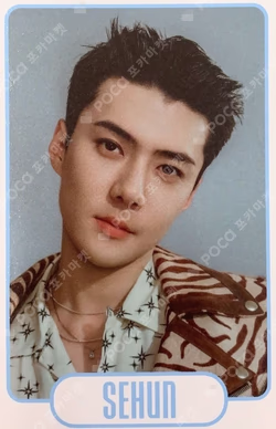 EXIST EXOcial Club – Cream Soda RANDOM TRADING CARD SET B ver.