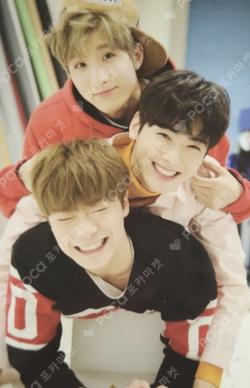 The 1st AAF Photocard Set B ver.