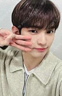 SHINING UP EVERLINE 3