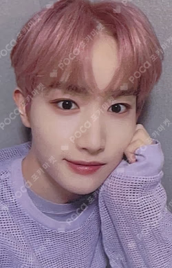 THE CALM BEFORE THE STORM EVERLINE 3