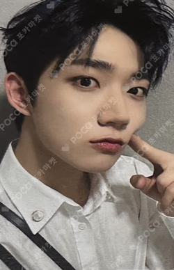 THE CALM BEFORE THE STORM EVERLINE 