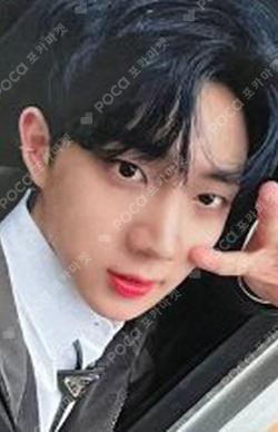 THE CALM BEFORE THE STORM EVERLINE SHOWCASE