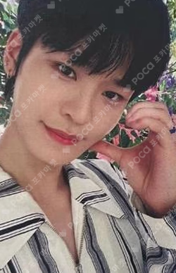SHINING UP Sunlight ver.