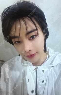 THE CALM BEFORE THE STORM APPLEMUSIC