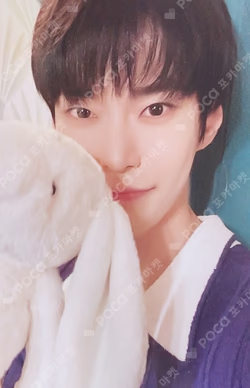 Perfume RANDOM TRADING CARD SET