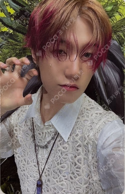 HARMONY : ALL IN ALL IN VER.