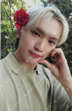 THE CALM BEFORE THE STORM MAKESTAR