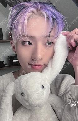 HARMONY : ALL IN DEAR MY MUSE