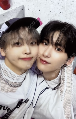 SUN SEEKER CATCHER VER.