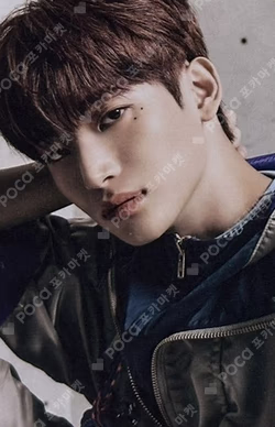 SUN SEEKER STARSHIPSQUARE