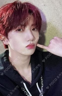 SUN SEEKER STARSHIPSQUARE