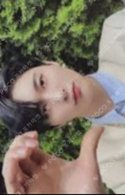 SUN SEEKER NIGHT VER. STARSHIPSQUARE