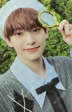 SUN SEEKER NIGHT VER.