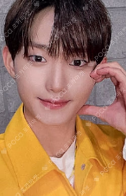 The Beginning : 開花 Polychrome ver. A