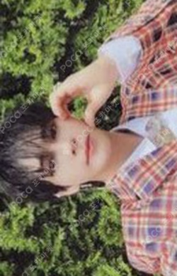SUN SEEKER NIGHT VER. STARSHIPSQUARE