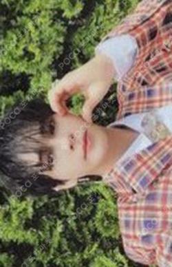 SUN SEEKER NIGHT VER. STARSHIPSQUARE SERIM photocard image