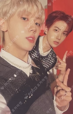 SUN SEEKER PACER VER.