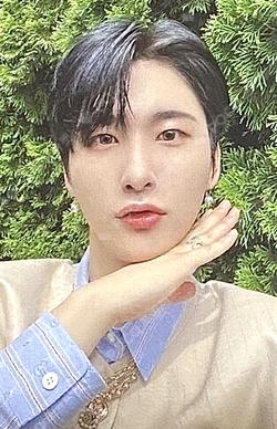 SUN SEEKER PLVE VER. SEEKER VER. WOOBIN photocard image