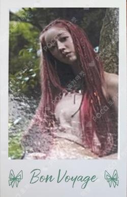 Bon Voyage POLAROID SET