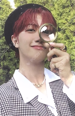 SUN SEEKER NIGHT VER.