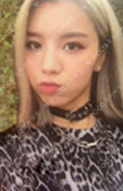 QURIOUS LUCY photocard image