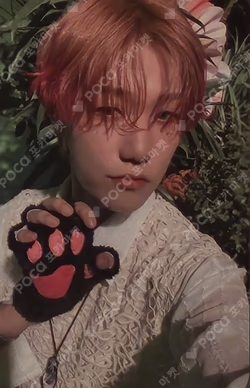 HARMONY : ALL IN KTOWN4U