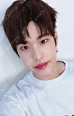 Get A Guitar EVERLINE