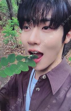 FOREST OF 2RAVELERS IN SEOUL N.Fia Zone LEE SEUNGH HYUB photocard image