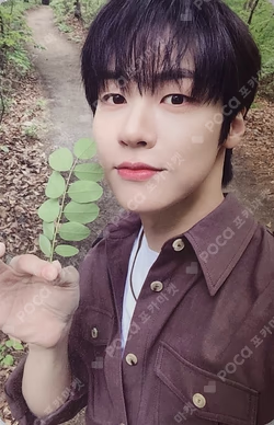 FOREST OF 2RAVELERS IN SEOUL N.Fia Zone