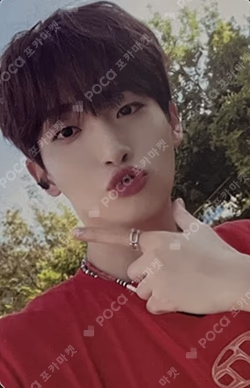 SUN SEEKER MYMUSICTASTE