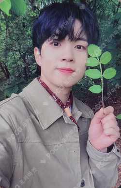 FOREST OF 2RAVELERS IN SEOUL N.Fia Zone