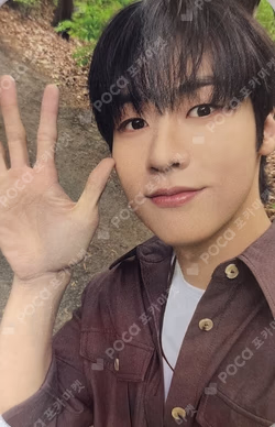 FOREST OF 2RAVELERS TRADING PHOTO CARD SET