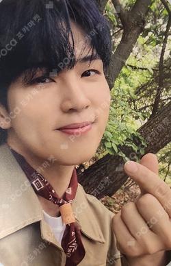 FOREST OF 2RAVELERS TRADING PHOTO CARD SET