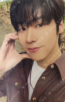 FOREST OF 2RAVELERS TRADING PHOTO CARD SET