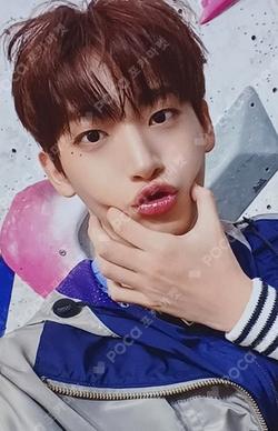 SUN SEEKER PLVE VER. CATCHER VER.