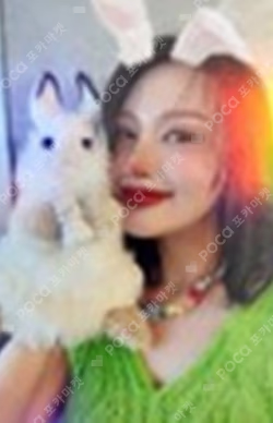 2023 SEASON’S GREETINGS DREAM’S SUNDAY CLUB ver. HOLOGRAM LUCKY PHOTOCARD