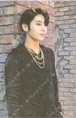 YES. [Set of 10] Y photocard image