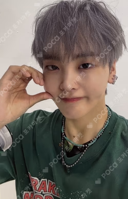 SUN SEEKER APPLEMUSIC