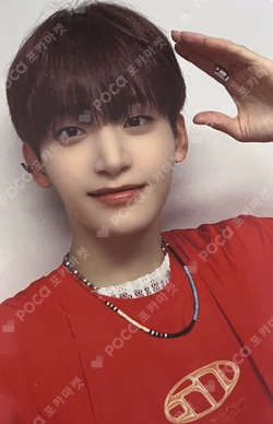 SUN SEEKER APPLEMUSIC