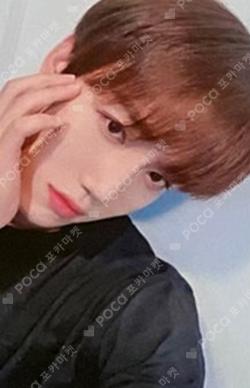 Game Changer EVERLINE