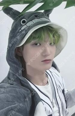 HOUSE OF TRICKY : HOW TO PLAY DEAR MY MUSE SUMIN photocard image