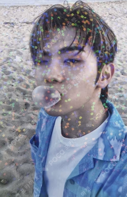 DICON POP-UP The beach boy ZB1 TRADING CARD SET
