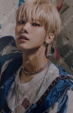 SUN SEEKER PLVE VER. CATCHER VER.