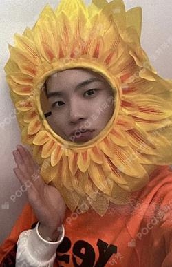 WHY NOT?? EVERLINE CHAN photocard image