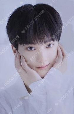 Scawaii TAEYOUNG photocard image