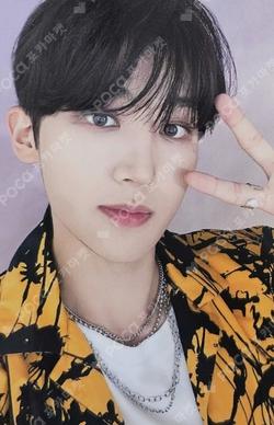 The Beginning : 開花 Polychrome ver. A