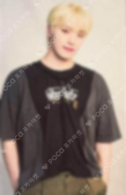SEVENTEEN TOUR FOLLOW TO JAPAN TOKYO UNIVERSAL DINO photocard image